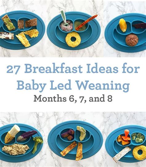 Baby Food Recipes 6 8 Months Blw - New Food Recipes