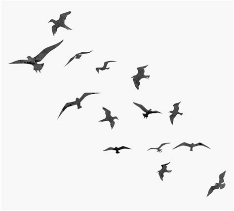 Flying Birds Background - Videohive , After Effects,Pro Video Motion