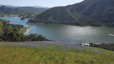 We're Open: Lopez Lake Marina in Arroyo Grande reopens for weekend