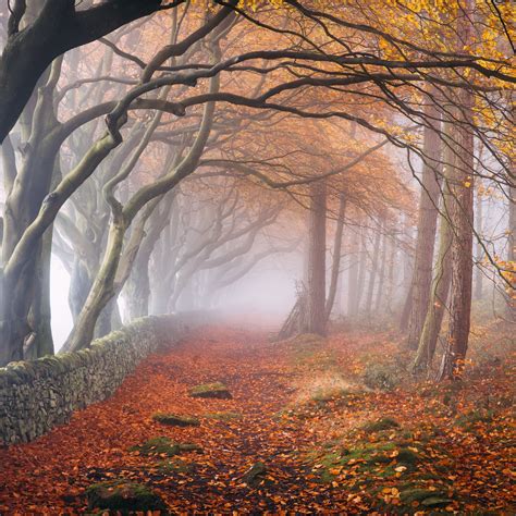 Lost in Autumn | Peak district, Landscape photographers, Landscape