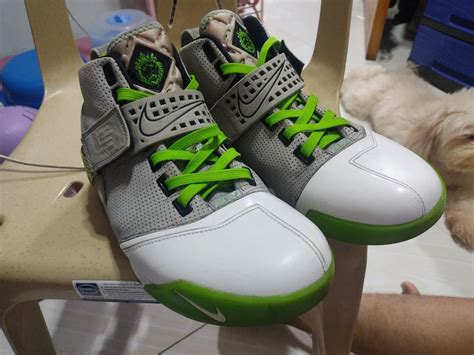 Lebron V Dunkman, Men's Fashion, Footwear, Sneakers on Carousell