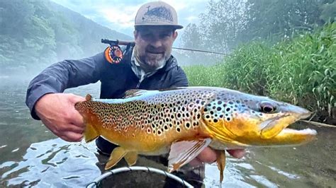 When do Brown Trout Spawn (Get the Timing Right!) - Guide Recommended