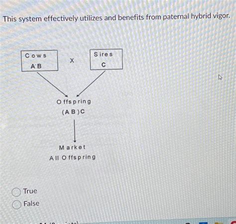 Solved This system effectively utilizes and benefits from | Chegg.com