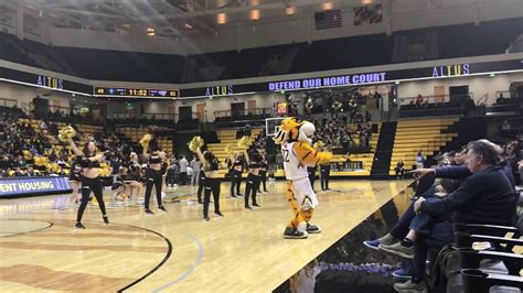 Towson Tigers Mascot DANCE - YouTube