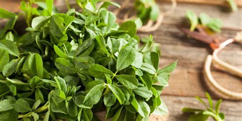 Fenugreek Leaves - Nutrition, Benefits, and Side Effects - HealthifyMe