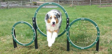 Dog Park Equipment - General Recreation Inc