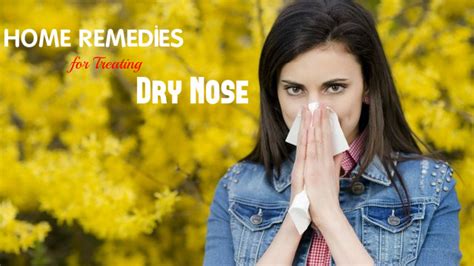 Home Remedies for Treating Dry Nose (Dry Nasal Passages) - Stylish Walks