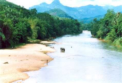 Mahaweli River - JungleKey.in Image