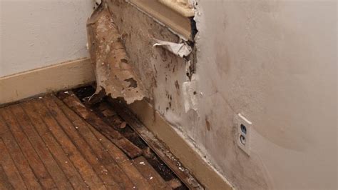 Reduce Your Risk of Mold After a Flood | Think Realty | A Real Estate of Mind