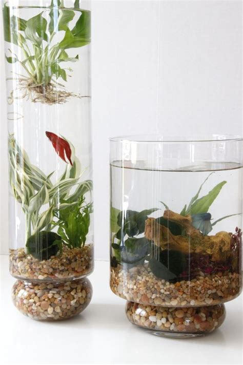 15 DIY Indoor Water Garden Ideas | Home Design And Interior