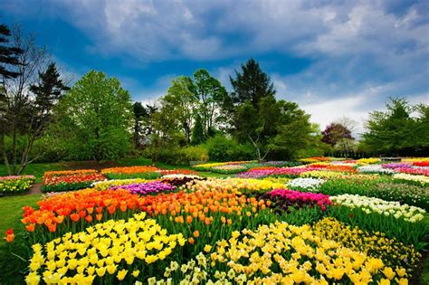 The world’s most beautiful gardens | loveexploring.com