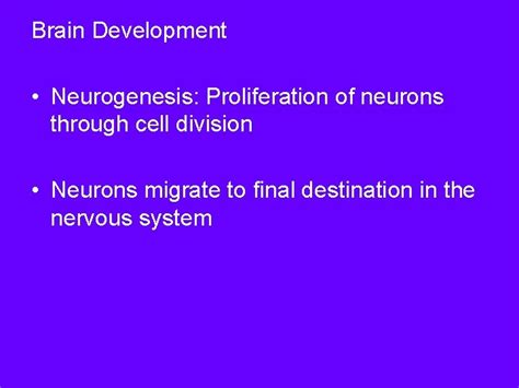 Brain Development Neurogenesis Proliferation of neurons through cell