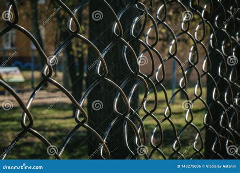 Metal Wire Fence. Wire Fence Texture Stock Photo - Image of jail, detain: 148275036