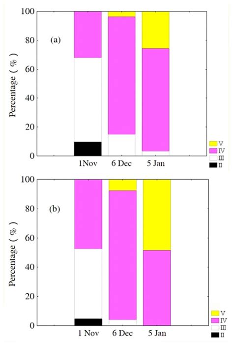 Life-history traits and intra-cohort divergence of clearhead icefish ...