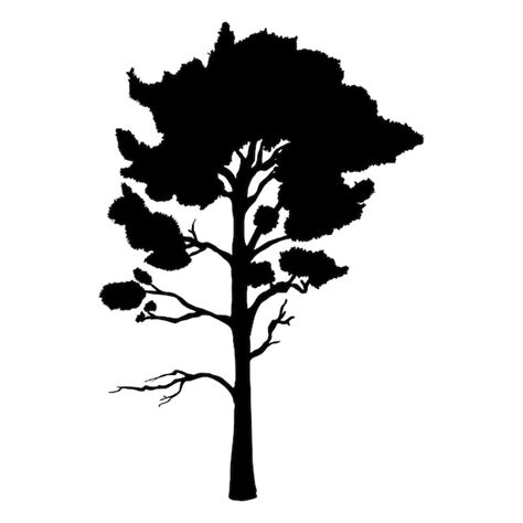 Premium Vector | Vector Black Silhouette of Pine Tree