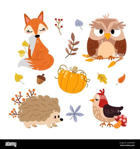 Hand drawn autumn animals collection Vector illustration Stock Vector ...