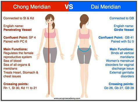 Chong & Dai mai | Chinese medicine, Acupuncture, Acupuncture benefits