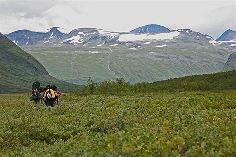 Wildlife Expedition in Sarek National Park, Lapland | The Outdoor Voyage