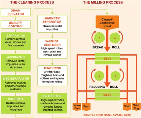 Wheat cleaning and milling process diagram. Cleaning steps in green... | Download Scientific Diagram