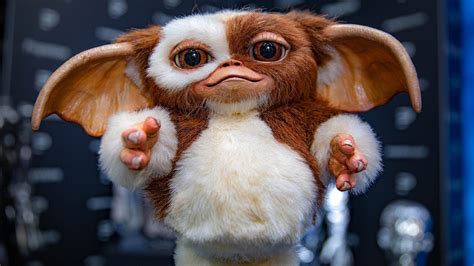 Original Animatronic Gizmo Puppet From Gremlins! - YouTube Gizmo ...