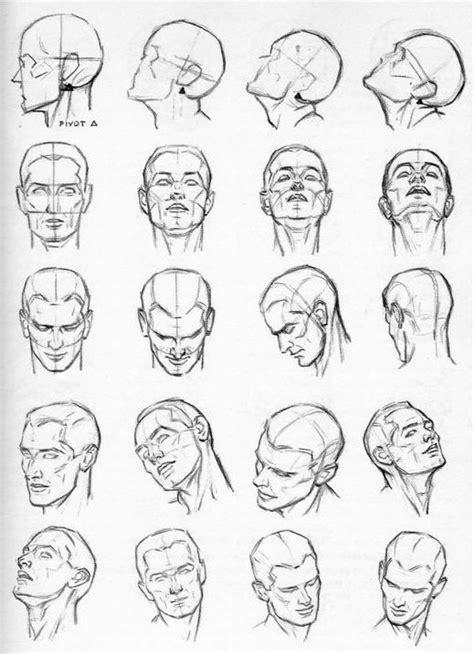 face reference - Google Search | Drawing the human head, Drawing people, Figure drawing