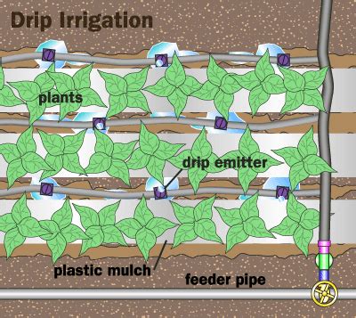 Trickle or Drip Irrigation | HowStuffWorks