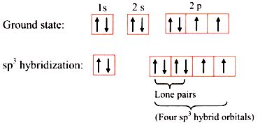 Explain the formation of water (H2O) molecule on the basis of hybridization. - Sarthaks eConnect ...