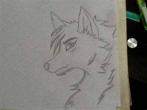 Anime Style wolf Drawing (that I done) : r/drawing