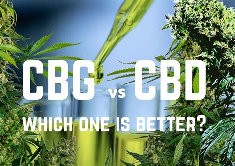 CBG vs CBD: which one is better? – GetBudsLegalize.com