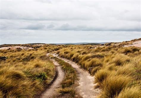 Explore - Visit Flinders Island