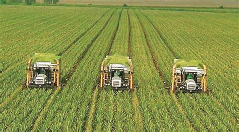 ‘Agriculture sector must adopt modern technology’