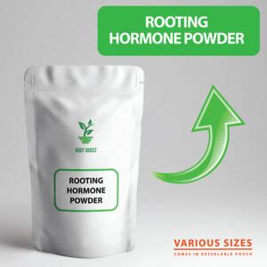 hormone rooting powder products for sale | eBay