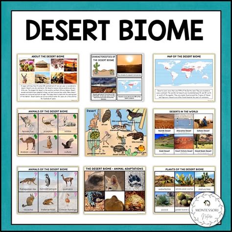 Free desert biome worksheet, Download Free desert biome worksheet png images, Free Worksheets on ...