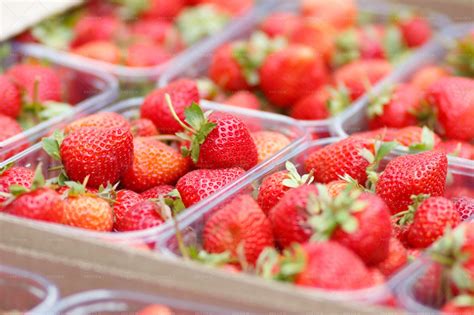 Fresh Strawberries In Containers - Stock Photos | Motion Array