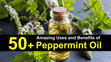 50+ Amazing Uses & Benefits of Peppermint Oil