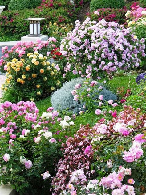 Summer Cottage Garden | Gardening | Pinterest