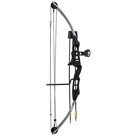 10 Best Compound Bows - Vibration/Noise-Free, Lightweight, and Speedy