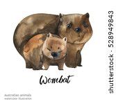 Wombat Illustration Clipart Free Stock Photo - Public Domain Pictures