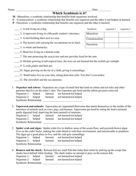 symbiotic relationships worksheet