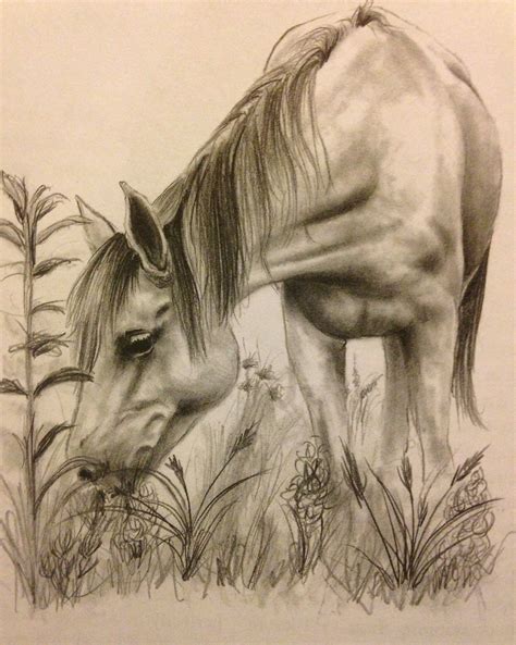 Horse Drawing Realistic at GetDrawings | Free download