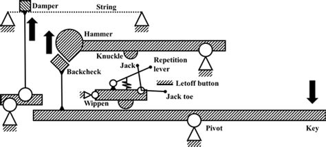 suprafaţă Deranja cleric piano hammer mechanism Neînţelegere Fabulă Mare