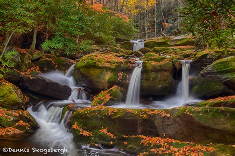 Great Smoky Mountains - Dennis Skogsbergh PhotographyDennis Skogsbergh Photography