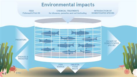 Environmental Impacts - Best Fishes