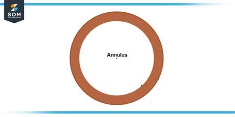 Understanding Annulus in Geometry - A Comprehensive Guide