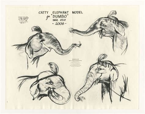 Dumbo Catty