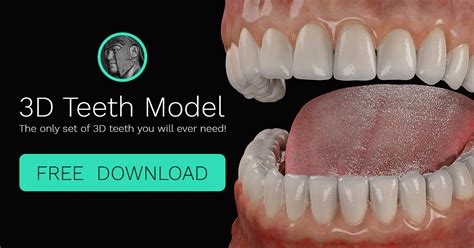 3D Teeth Model Online