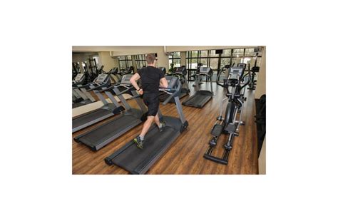 Treadmill Running Tips for Beginners - Autumn Damask