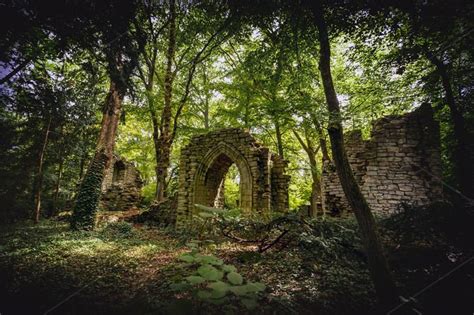 Stone ruins in a forest | Beautiful ruins, Ruins architecture, Ruined city