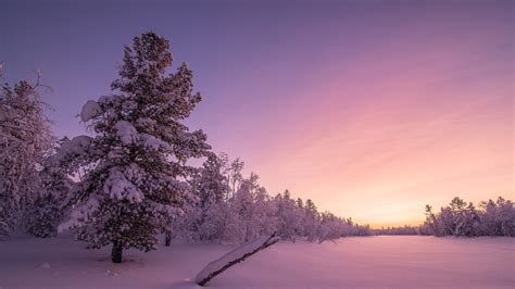 Snow Covered Winter Landscape 4k Wallpapers - Wallpaper Cave