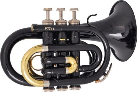 Best Pocket Trumpets Reviewed and Rated | TrumpetHub